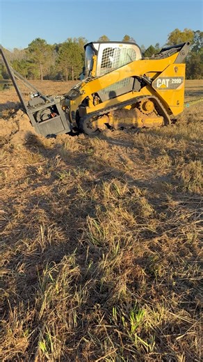 #cat 299d saves the day