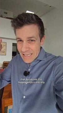 Fascia contains sensory receptors and stores trauma patterns your hippocampus never encoded