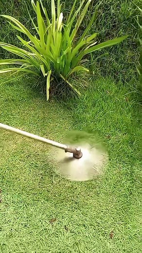 Oddly Satisfying Sensations | Mowing The Lawn Compilation ASMR | #Perfect cutt! 🍀💚 #lawntok #grasstok #gardentok #landscapersoftiktok #asmr #oddlysatisfying #Satisfying #mowing #lawn #garden #clean #CleanTok #landscape #gardening #lawncare #mowingthelawn #lawnmower #brushcutter #lawntiktok #lawnsoftiktok #lawnmowing #lawns #grasstiktok #cuttinggrass #satisfaction #spring #goviral #original #viral #viralvideos #viralvideo #viral_video #tiktok #tiktokviral #viraltiktok #viralvideotiktok #fyp #fo