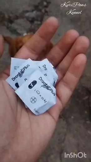 Drontal Dewormer for Dogs - Effective and Easy to Administer