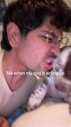 I hope he learns his lesson. #righteousgemstones #puppy #australiancattledog