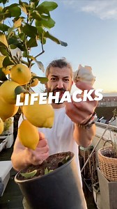 383K views · 15K reactions | Lifehacks! 朗蘭 . . . . #lifehacks #diy #plantbased #tipsandtricks #selfcare #hacks #garlic #upcycle #rap #newsong #creativeexplained #howto #kitchenhacks #cleaninghacks | creative explained | Facebook