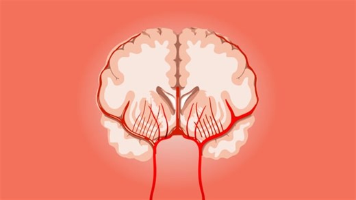 Coagula Videos: Download 4+ Free 4K & HD Stock Footage Clips - Pixabay