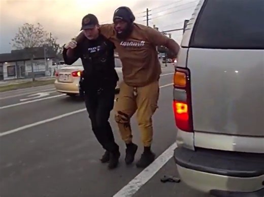 Florida cop shoots man in leg during traffic stop, video shows