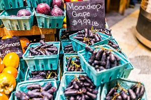 Moon Drop Grapes Are a Strange But Delicious New Craze