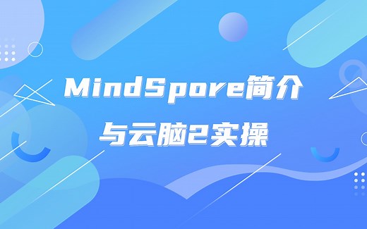 昇思MindSpore实践指南：MindSpore简介与云脑2实操