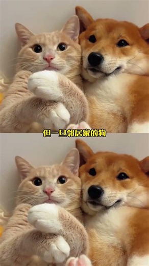 當女人擁有了曠野，便不再執著于懷抱#女性力量 #文字 #感悟 #女性智慧1