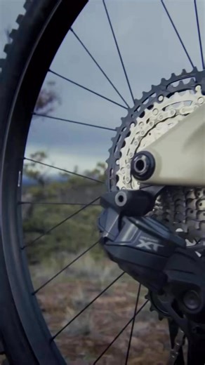 Available Oct. 2025. Message us for more details | Chain Motion