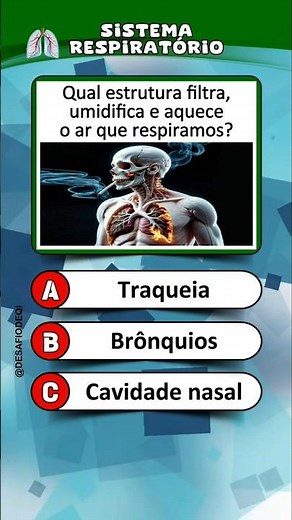Respiratory System Quiz