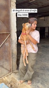 41K views · 3.8K reactions | Donate for permanent shelter land - bank account details Account no. 50200079471040 Ifsc code - HDFC0001408 Holder name - street worldz trust Branch - vikaspuri Upi id Yespay.bizsbiz58385@yesbankltdRazorpay link in bio Scanner in highlight | Street_worldz709 | Facebook