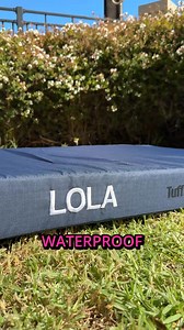 86K views · 106 reactions | Cleaning your dog’s bed shouldn’t be a...