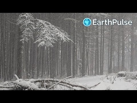 💨 Deep Sleep with Heavy Winter Blizzard Sound Extreme Relaxing White Noise