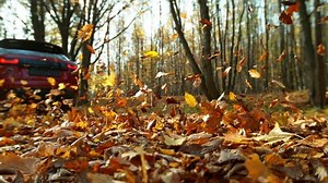 Super Slow Motion Closeup Car Running Stock Footage Video (100% Royalty-free) 1096368263 | Shutterstock