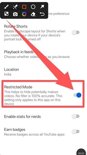 How To Turn Off Restricted Mode On YouTube | How To Disable RESTRICTED Mode On YOUTUBE #shorts#viral
