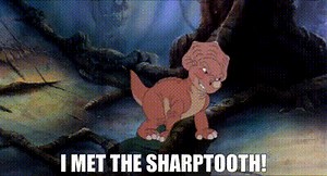 416b068b-0401-4edd-94b3-9208165ea666