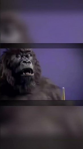 The Viral Gorilla Drummer: Behind the Iconic Cadbury's Chocolate Advert