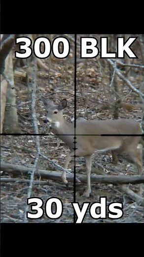300 Blackout DROPS Deer
