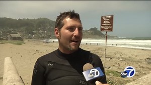 Scores of jellyfish wash up on Pacifica State Beach