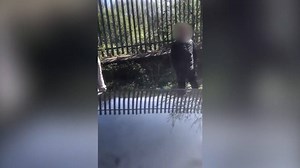 After this incident, police issued a statement that said that an investigation was underway. "I want to reassure everyone that we are conducting a thorough investigation and I have referred the matter to our Professional Standards Department. We have spoken to the man in the footage and apologised and will be speaking to him again over the coming days to keep him fully informed regarding the actions we are taking." | Lancs Live