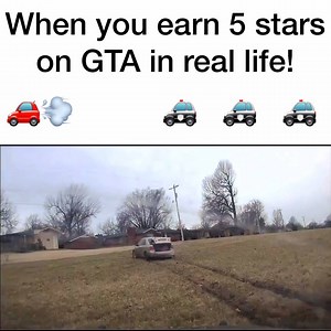 12M views · 2.6K reactions | When you earn 5 stars on GTA in real life | Officer Daniels | Facebook