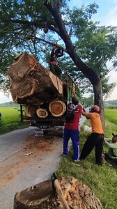 1.4M views · 6.6K reactions | load large wood in a simple way without machines | Yulianto | Facebook