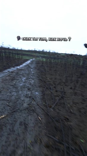 Как посадить кактусы: советы от спацанов