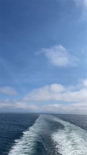 From your morning coffee to your last bite of sushi, a day in Nanaimo just hits differently. 🌿✨ 🚤 Start with a ferry ride over and enjoy the salty breeze in your hair, ocean views all around, and a camera roll that’s off to a strong start. 🥞 Ease into the day with a late breakfast at the Vault Cafe, because mornings coffee carbs = happiness. 🌊 Stroll the waterfront! Spot seals, watch the sailboats, and maybe start wondering what it would be like to live here. 🐟🍟 Lunch is a no-brainer: Trol