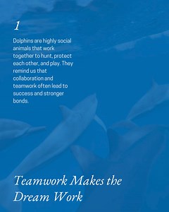 With our Dolphin Guarantee, you'll ride alongside our playful water friends! 🐬 And if we don’t spot any, enjoy another tour on us during your stay. Adventure awaits! 🌊 ✨ bluedolphinkauai.com | Blue Dolphin Charters