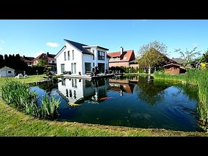 Modern Koi Blog #3174 - Mirko's 250,000 liter near-natural mega pond