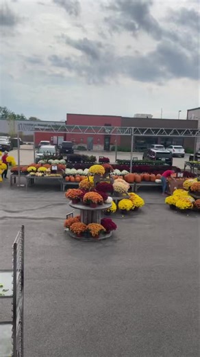 Here’s an update from the North location today (Saturday the 18th) around lunchtime. Both locations still have a lot of beautiful plants and fall flowers, so come check it out today! | Danville Gardens