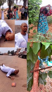 The evil tree | Olivia Comedy Tv