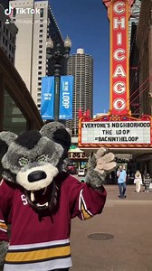 73 reactions | Sweet home #Chicago ❤️ | Chicago Wolves | Facebook