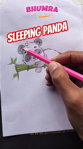 Cute chibi panda drawing #drawingshorts #animalart #panda