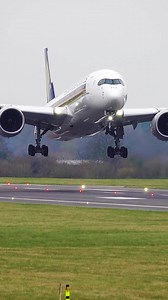 225K views · 5.4K reactions | Awesome Airbus A350 Landing ✈️ | Airliners Live | Facebook