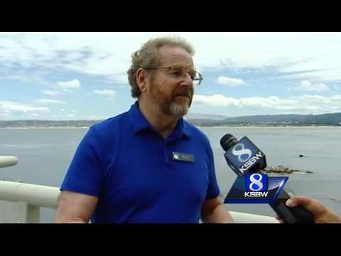 The blue fish behind 'Finding Dory'