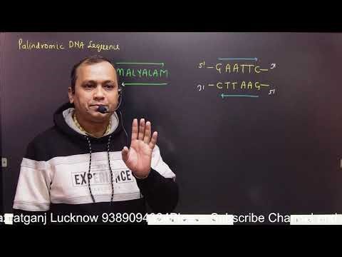 Lecture 2 Biotechnology Principle and Process