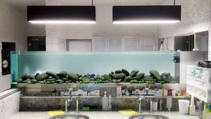 #Werbung Dwarf Crayfish (CPO) pool tank. Including some small fish like Dwarf Rainbow 280cm long including 40cm internal filter system and automatic water change (permanent freshwater inflow) Indirect light system. So this tank concept is more then 6 years old and is still very modern. Only 20 minutes maintenance every 2 weeks. Just easy going and made to enjoy the aquarium hobby Loacated at my favorite vet in Germany CPO and co powered by Aquarium-Dietzenbach #oliverknott #ok_aqua #aquarebell #