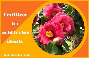 Fertilizer for acid loving plants - [List of acidic fertilizers]