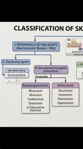Skeletal muscle relaxants classification #pharmacology