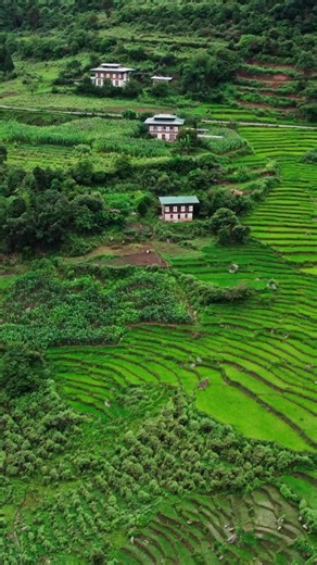 112K views · 2.3K reactions | Summer in Bhutan is perfect for enjoying its natural beauty and vibrant culture. Experience local festivals, explore wildlife and bird watching, and discover the lively nightlife. It’s an ideal season to soak in Bhutan’s unique charm and atmosphere #Summer #Bhutanbelieve #Bhutan #BhutanTourism #VisitBhutan #TourismBhutan #BhutanDiaries #BhutanTravel #Believe | Department of Tourism, Bhutan | Facebook
