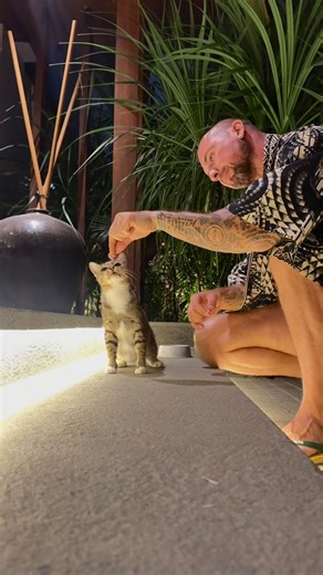 Keesya & Marshall on Instagram: "Omang - the Balinese kitty that lives In our villa. She was rescued by the villa management and now resides here full time. She’s super cute and cuddly"