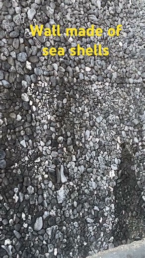 Sustainable Civil Engineering | Wall Made of Sea Shells #geotechnicalengineering