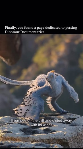 ⏰ 𝗙𝗼𝗹𝗹𝗼𝘄 𝘁𝗼 𝗴𝗼 𝗯𝗮𝗰𝗸 𝗶𝗻 𝘁𝗶𝗺𝗲 on Instagram: "One small dinosaur was cornered at the edge of a cliff, seconds away from becoming someone else’s meal. With a desperate leap, it threw itself into the void— and instead of falling, it glided. 160 million years ago, in the Jurassic forests, a young predator called Sinornithosaurus stalked a tiny feathered dinosaur, Anchiornis, as it hunted insects on the forest floor. Barely the size of a pigeon, Anchiornis had sharp teeth and quick