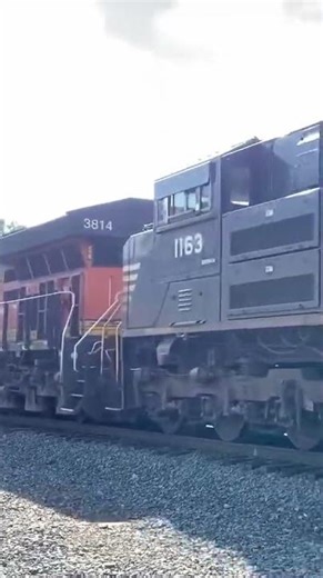 NS 4002 (Blue Mane) and 1072 (Illinois Terminal) lead 258 in Cleveland. #train #railfan #railroad