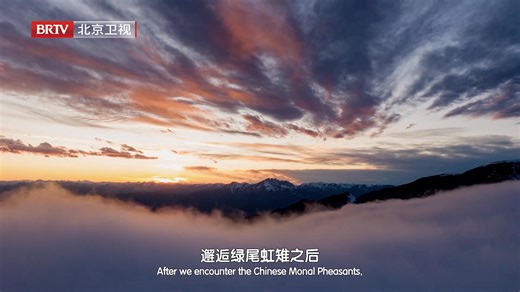 5K views · 76 reactions | 《The Panda Adventure》 Episode 4 "Life in...