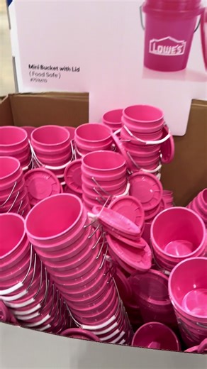 Lowe's Mini Pink Buckets Restock: Perfect for Valentine's Day