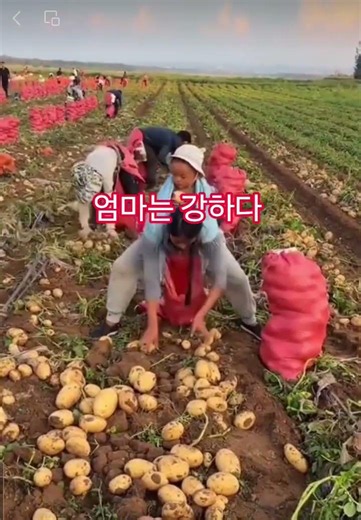 #엄마는강하다 #우리70년대 악착같은 젊은 엄마 ...행복하세요
