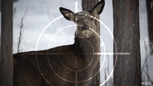 NYS proposes changes for hunting antlerless deer