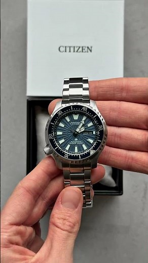 Citizen Promaster Fugu - A true dive legend reimagined 🌊