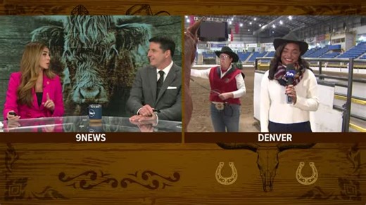 9NEWS on Instagram: "Mutton Bustin' at the @nationalwestern Stock Show! The Best 16 days in January continue through Sunday in Denver! 🐑🤠 #wearethewest #nwss2026 #best16daysinjanuary #noplacelikestockshow https://www.9news.com/video/entertainment/events/national-western-stock-show/showcasing-mutton-bustin-skills-at-the-nwss/73-04fdf175-f340-47ec-8fd7-bb8b694d2f26"